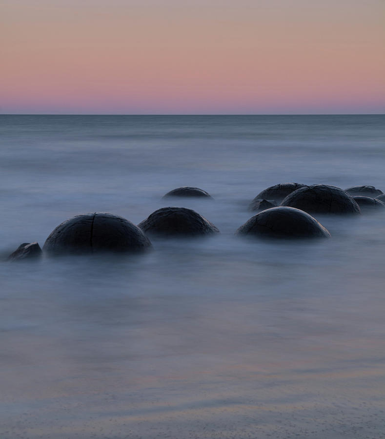 Dinosaur Eggs Photograph by Janis Connell