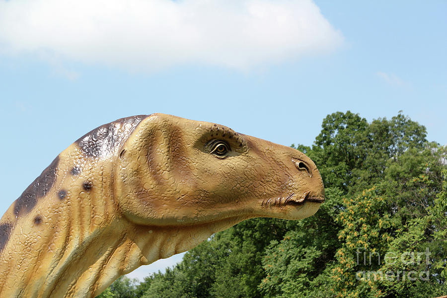 Dinosaur Head Photograph by Goce Risteski | Pixels