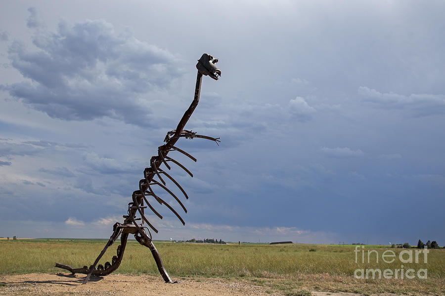 Dinosaur Photograph by Jim West