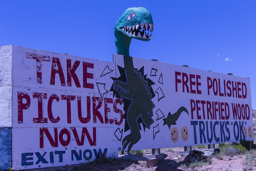 Dinosaur Sign Take pictures Now Photograph by Garry Gay