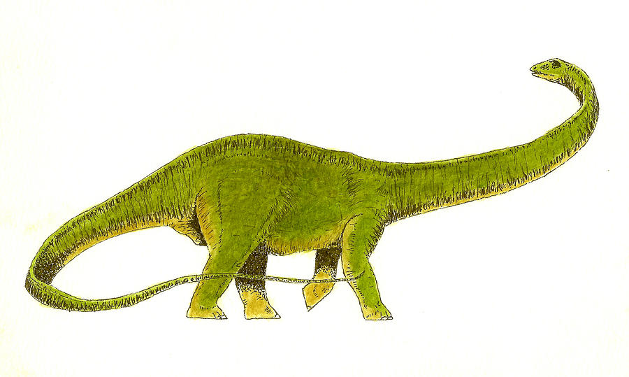 Diplodocus Painting by Michael Vigliotti