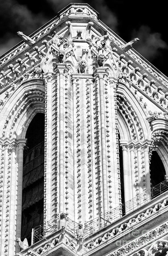 Directional at Notre-Dame de Paris Photograph by John Rizzuto