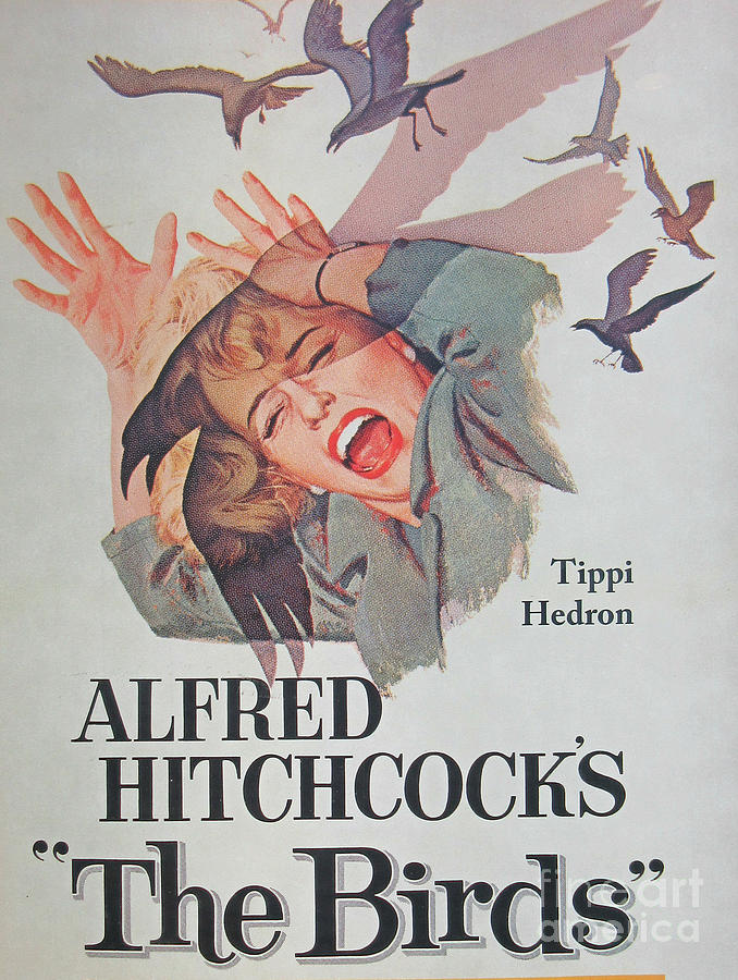 Portrait Painting - Director Alfred Hitchcock Rare Unique Collectible Famous Vintage Birds Poster by Pd