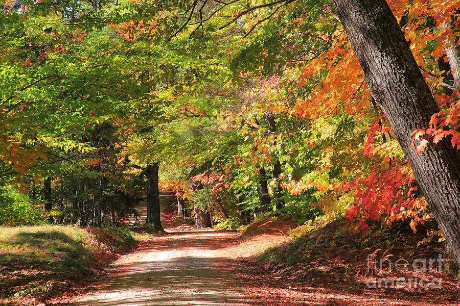 Dirt Road, Autumn, New Hampshire Photograph by Larry Landolfi