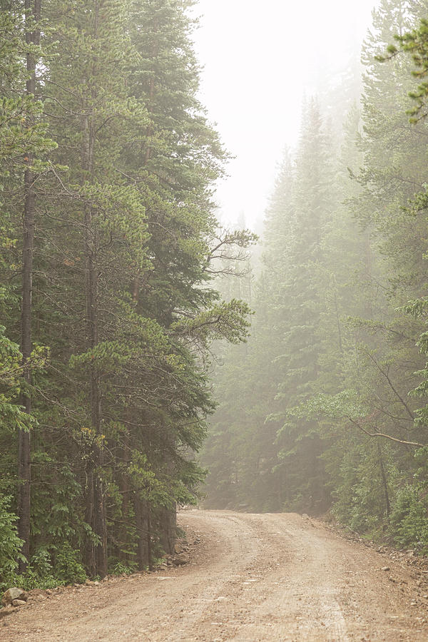 Nature Photograph - Dirt Road Challenge Into the Mist by James BO Insogna