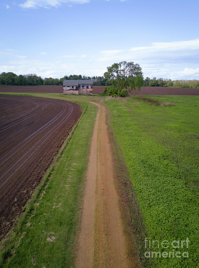 Dirt Road Leading to Abandoned Home Photograph by Michael Ver Sprill