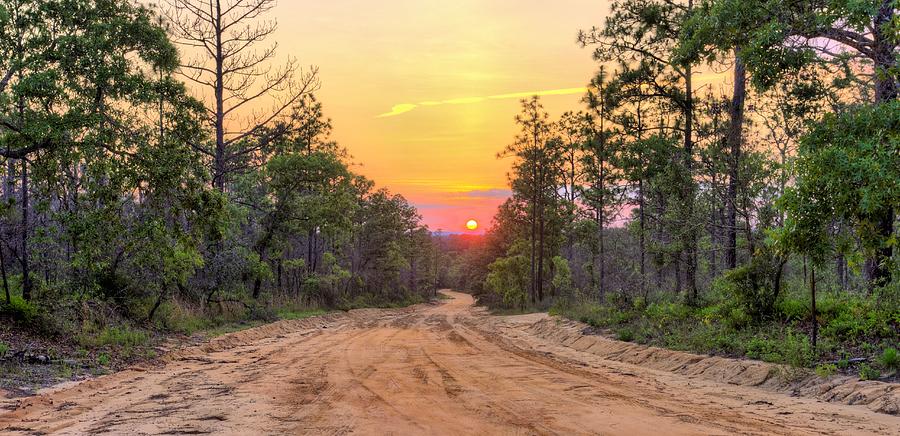 country dirt road sunset