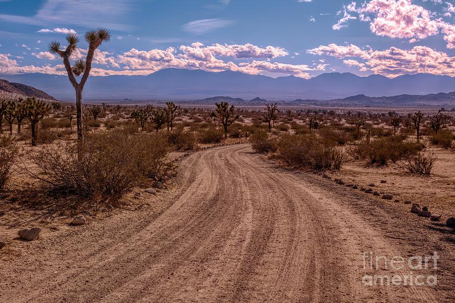 Dirt Road throught the Desert Photograph by Joe Lach