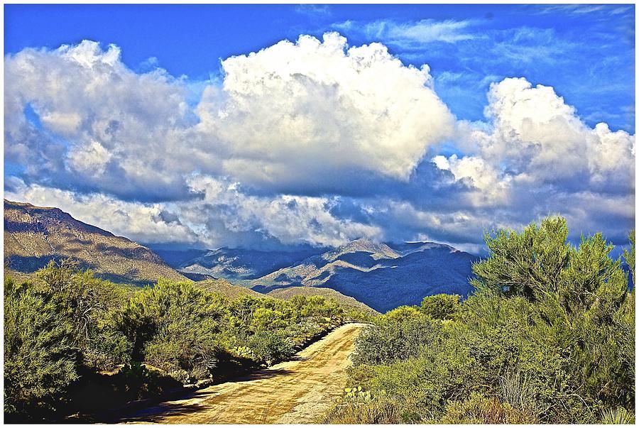 Dirt Road to Four Peaks Photograph by Barbara Zahno