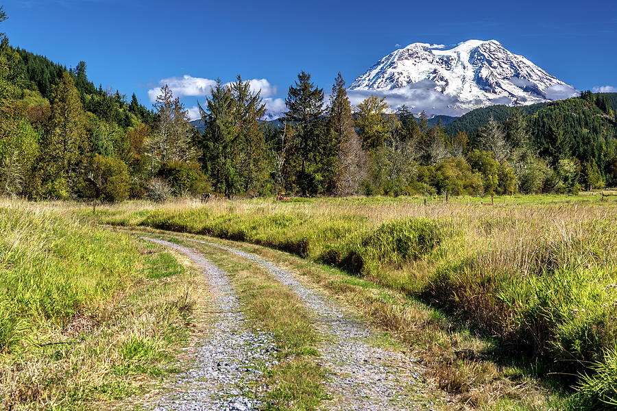 Dirt Road to MT Rainier Photograph by Rob Green