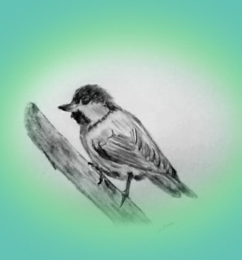 Dirty Bird Drawing by Nelma Grace Higgins - Fine Art America