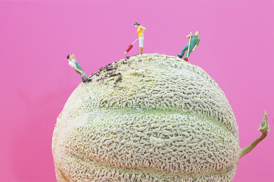 Dirty Cleaning On Sweet Melon II Little People On Food Painting by Paul Ge