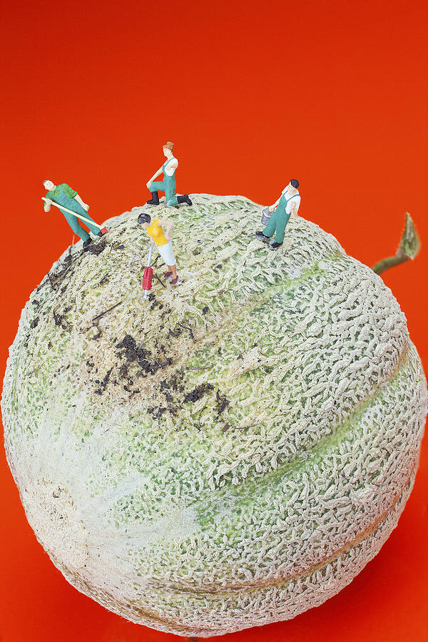 Dirty cleaning on sweet melon little people on food Painting by Paul Ge