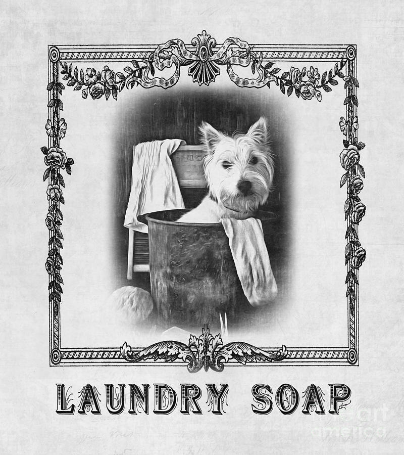 Vintage Photograph - Dirty Dog Laundry Soap by Edward Fielding