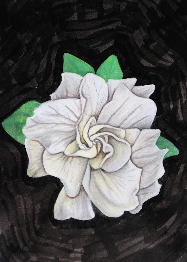 Flowers Still Life Painting - Dirty Gardenia by Jessica Lee Nelson