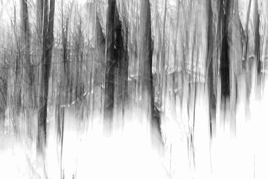 Winter Photograph - Disappearance by Steven Huszar