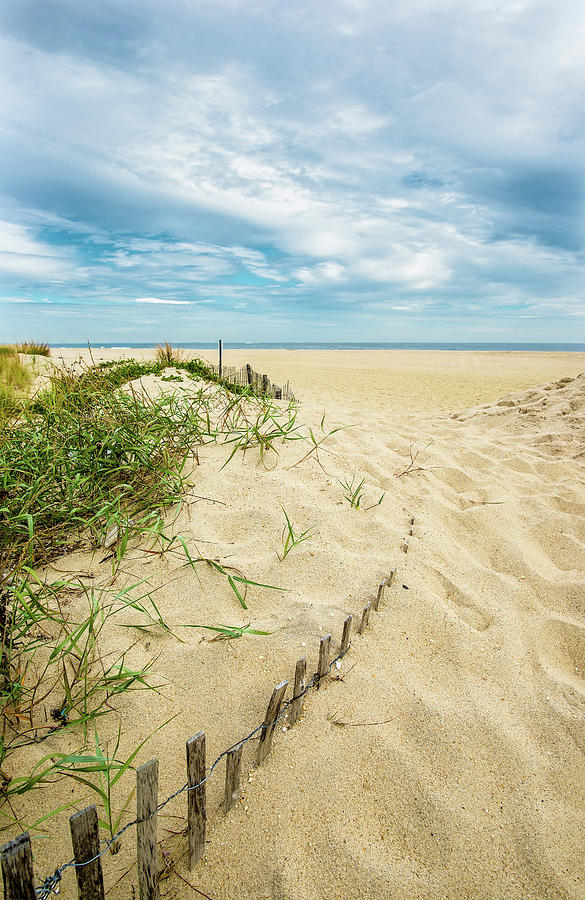 Disappearing Dune Fence At Sandy Hook Photograph by Gary Slawsky