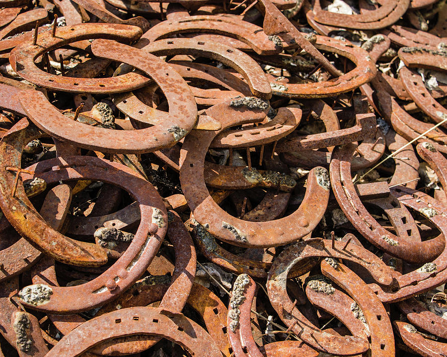 Discarded Horseshoes Photograph by Ted Burchnall