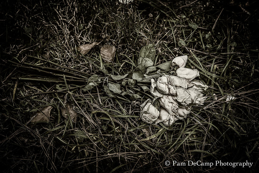 Discarded Photograph by Pam DeCamp
