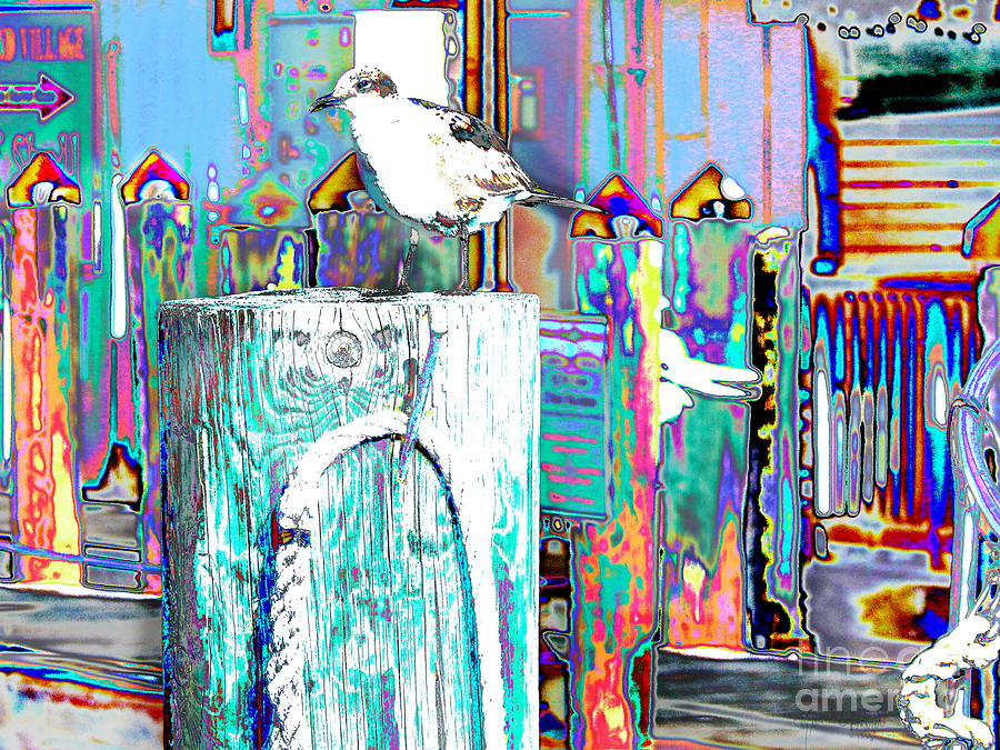 Disco Dock Seagull Digital Art by Priscilla Batzell Expressionist Art Studio Gallery