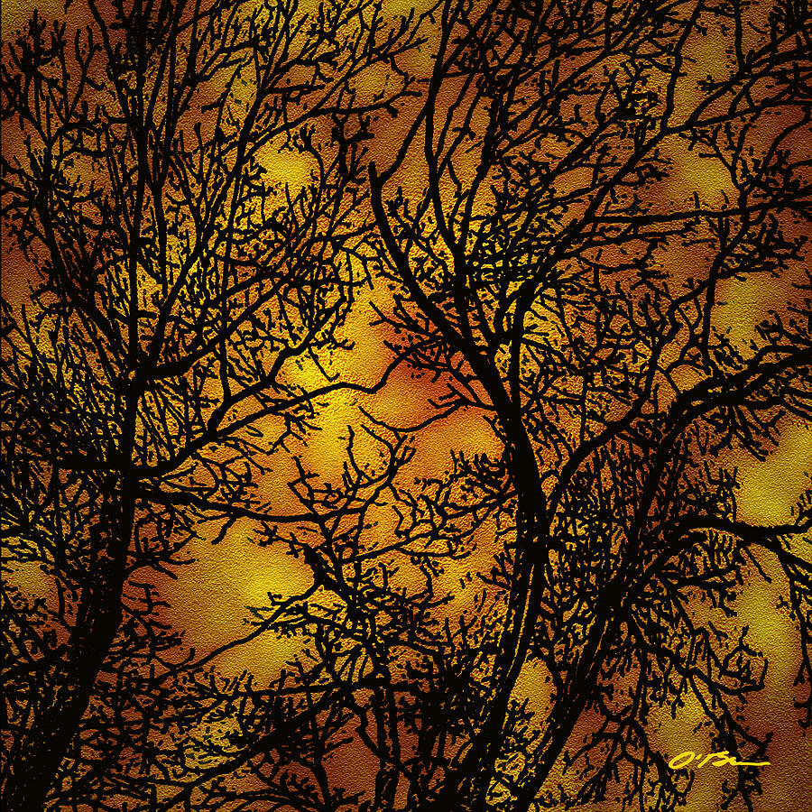 Tree Digital Art - Discovering the Light in the Ordinary by Claudia OBrien