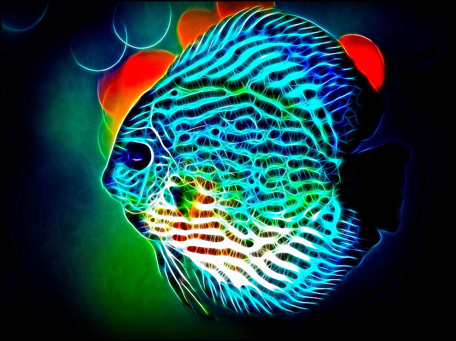 Fish Mixed Media - Discus by Alexey Bazhan