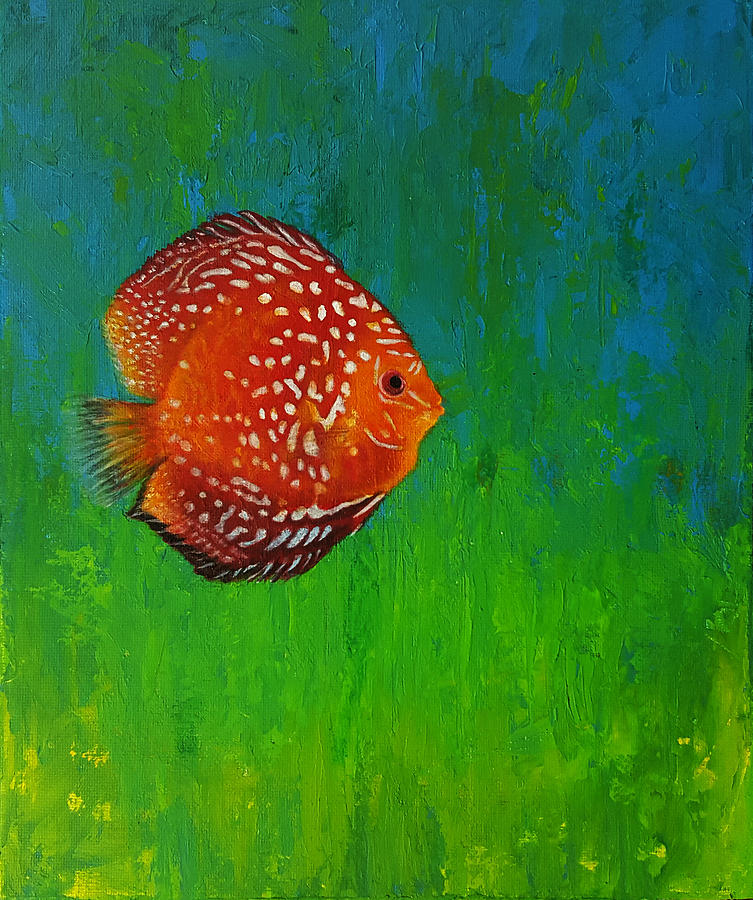 Fish Painting - Discus Fish by Kathleen Wong