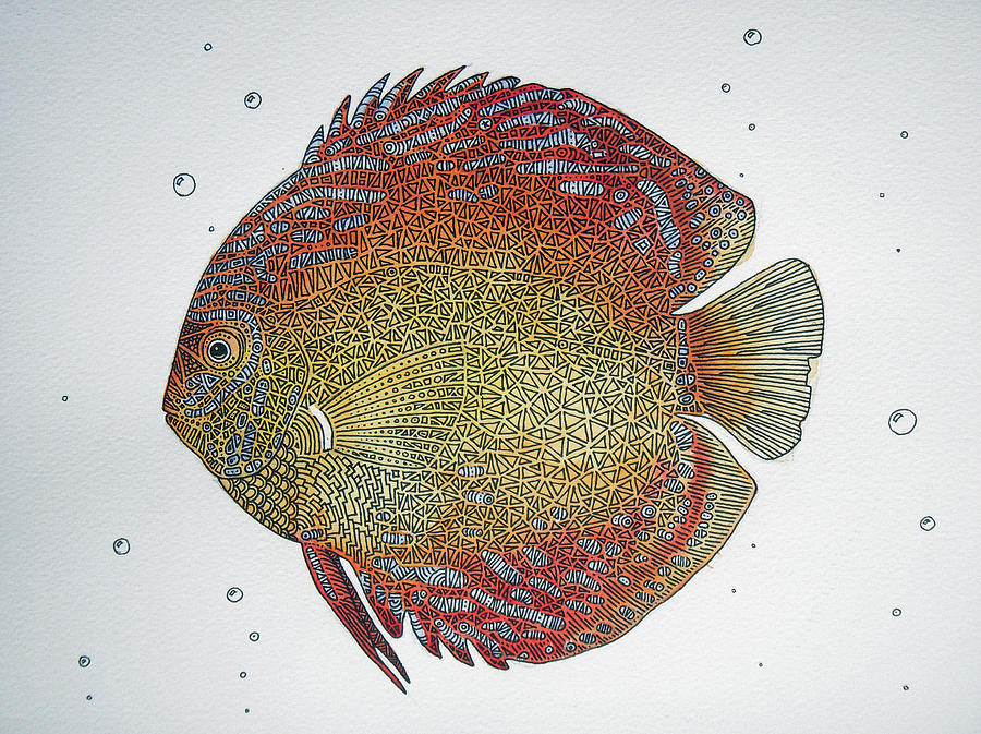 Discus fish Drawing by Sergei Anikin Fine Art America