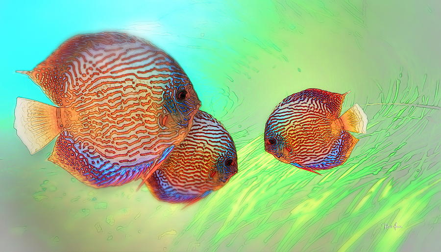 Fish Photograph - Discus in Eel Grass by Russ Harris