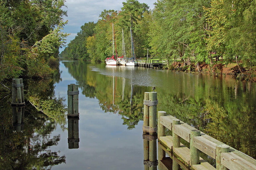 Dismal Swamp Canal Photograph by Ben Prepelka