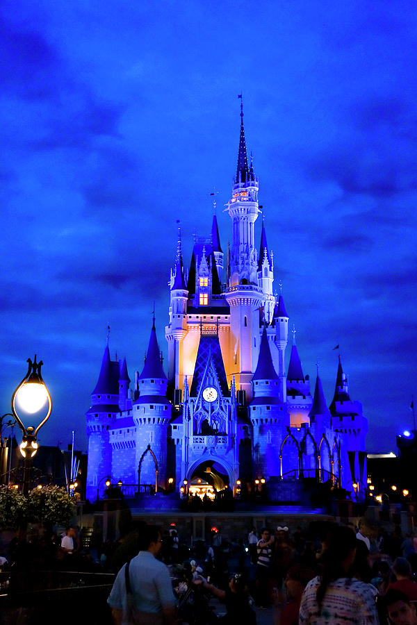 Disney Blues Photograph by Greg Fortier