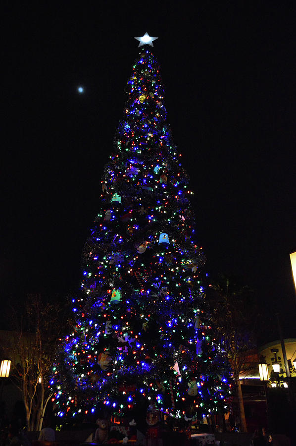 Disney California Adventure Christmas 4 Photograph by Tommy Anderson ...