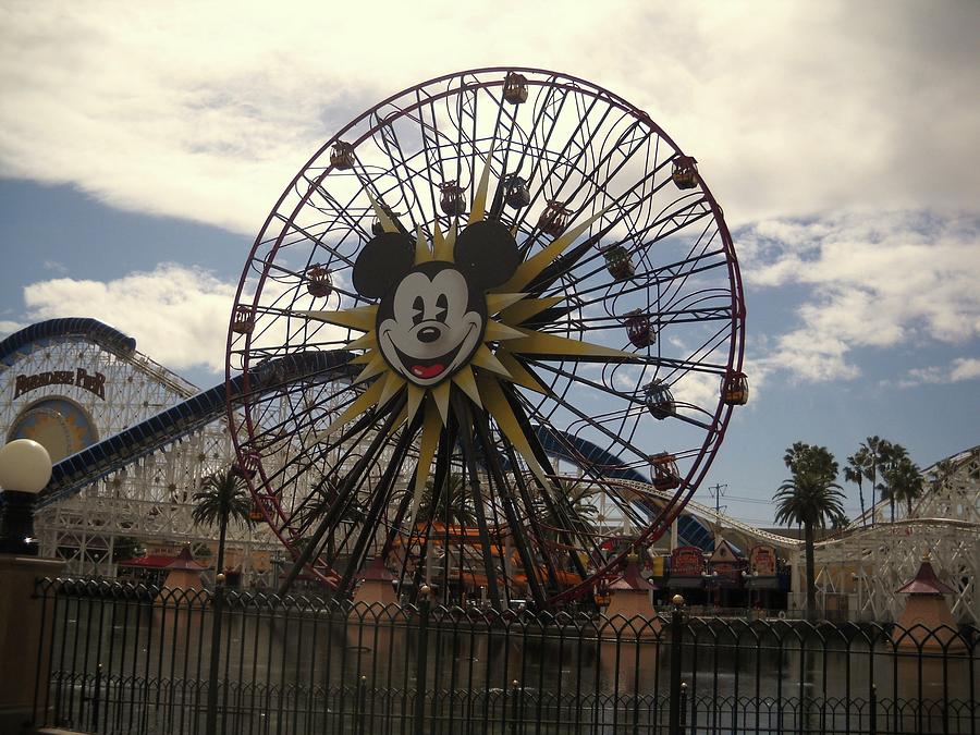 Disney Ferris Wheel Photograph by Vicki Lomay - Fine Art America