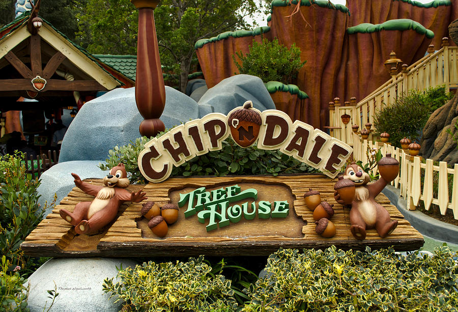 Castle Photograph - Disneyland Chip And Dale Signage by Thomas Woolworth
