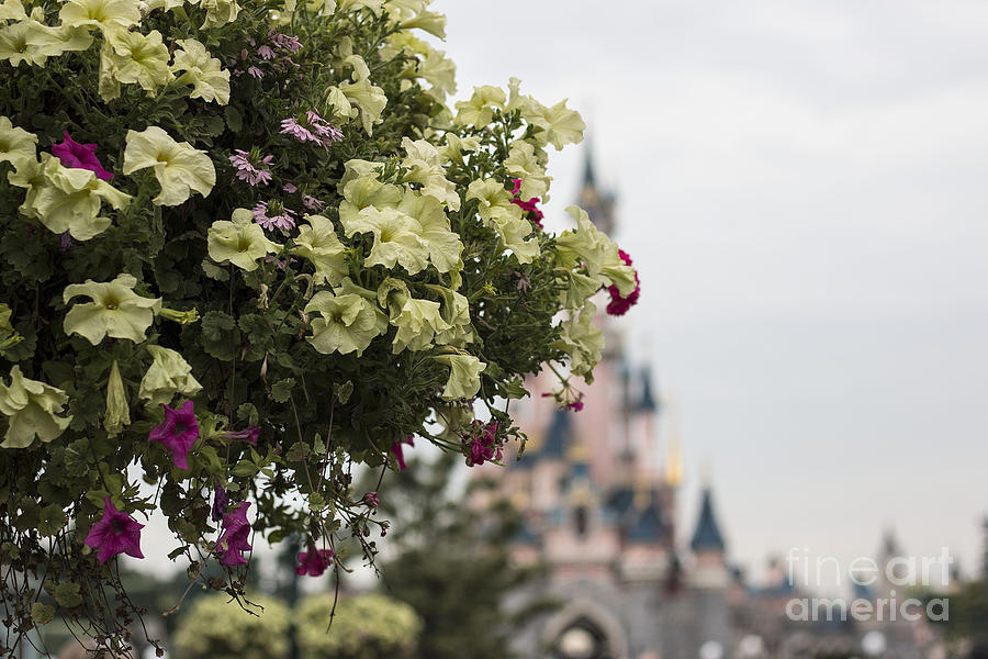 Disneyland Paris Flowers Photograph by Roger Lighterness