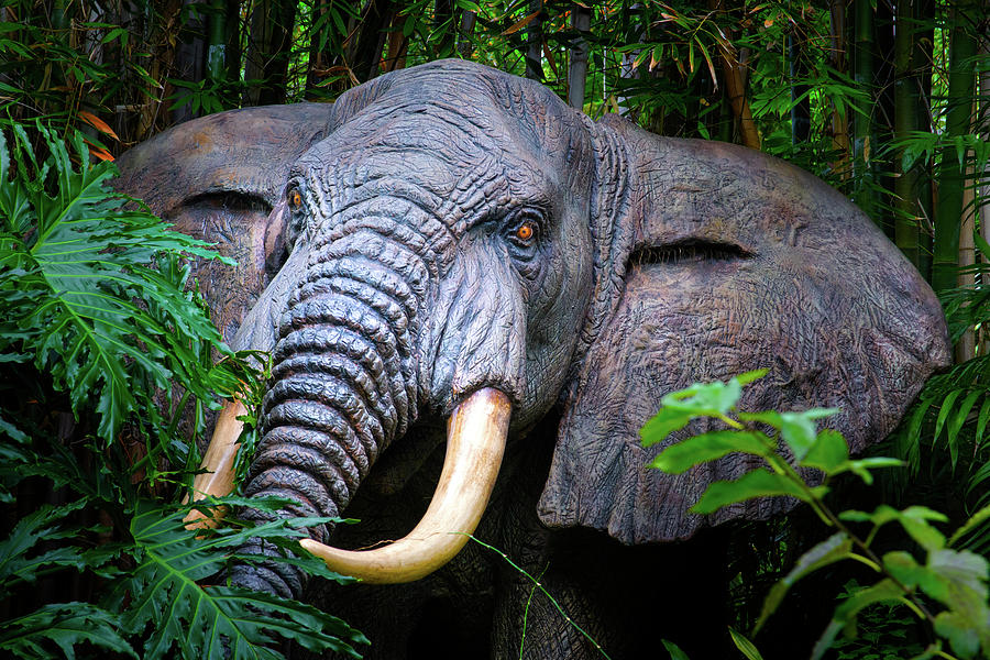 Disneys Jungle Cruise Elephant Photograph by Mark Andrew Thomas