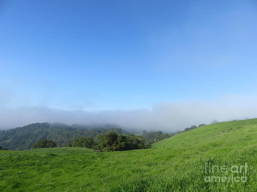 Distant fog bank Photograph by Suzanne Leonard