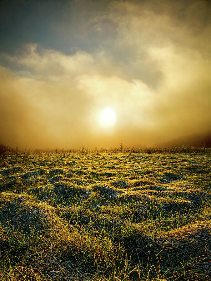 Distant Mist Horizon Photograph by Phil Koch