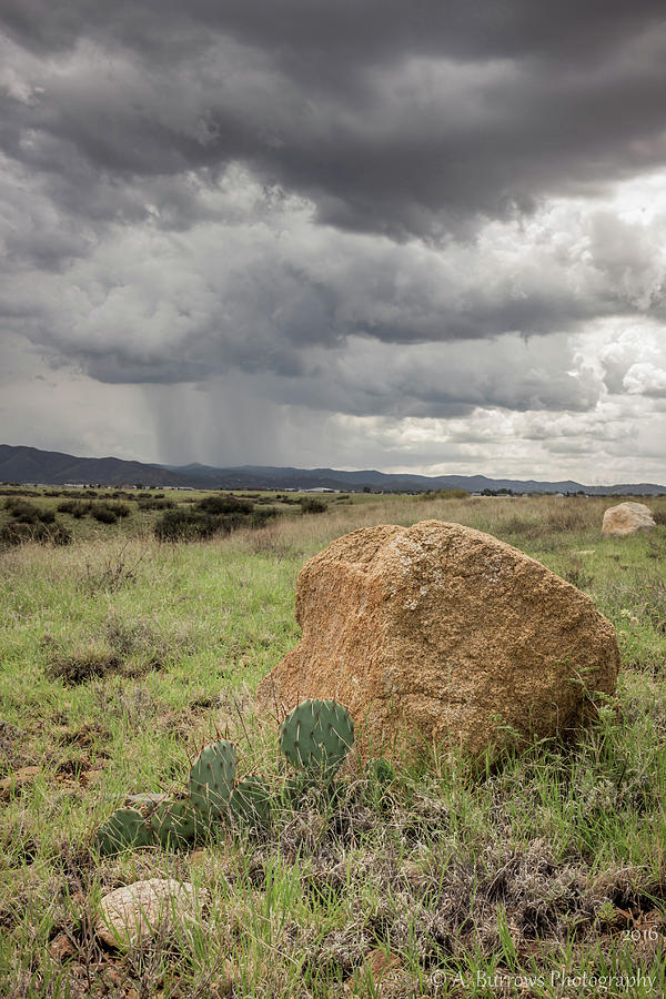 Distant Rains Photograph by Aaron Burrows