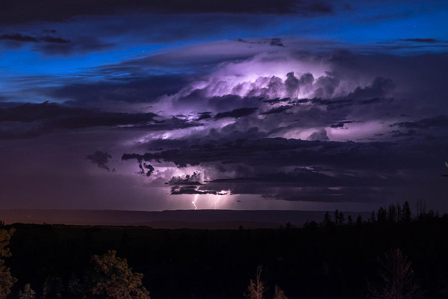 Tree Photograph - Distant Storm by Brad Hartig - BTH Photography