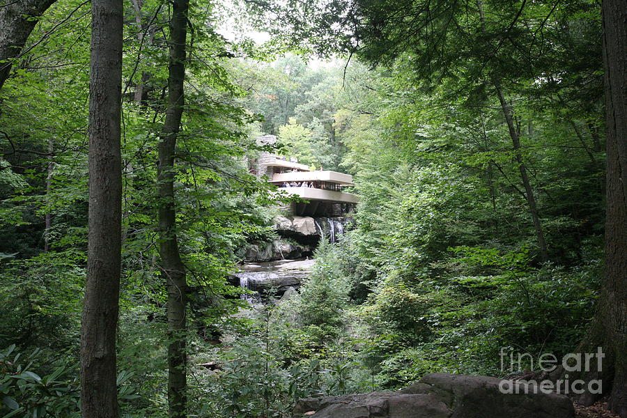 Distant View FallingWater  Photograph by Chuck Kuhn