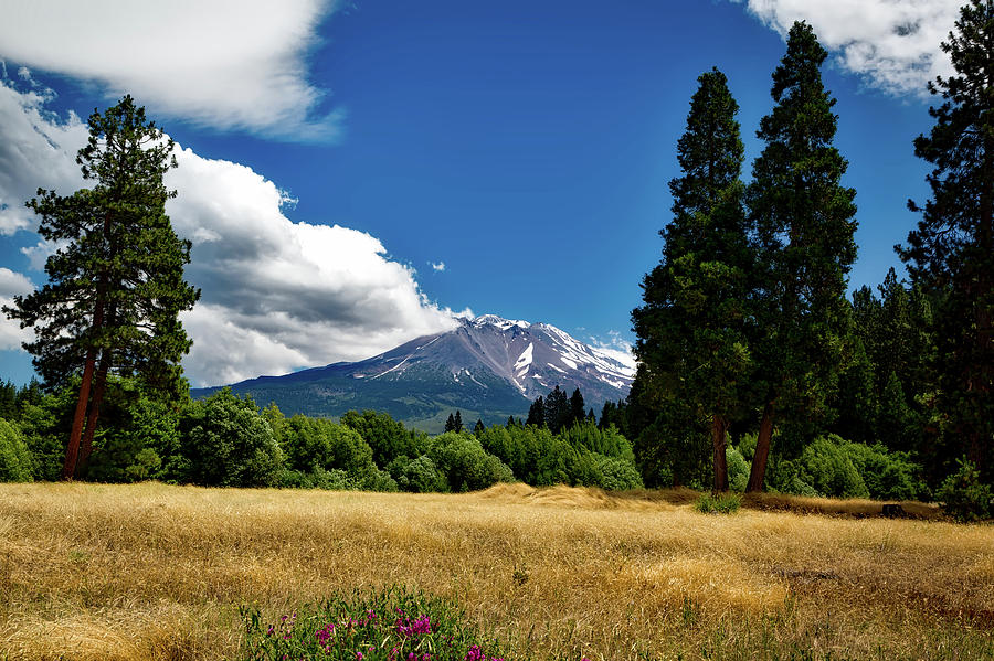 Mountain Photograph - Distant View Of Mount Shasta by Mountain Dreams