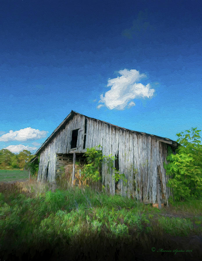 Distress Barn Photograph by Marvin Spates