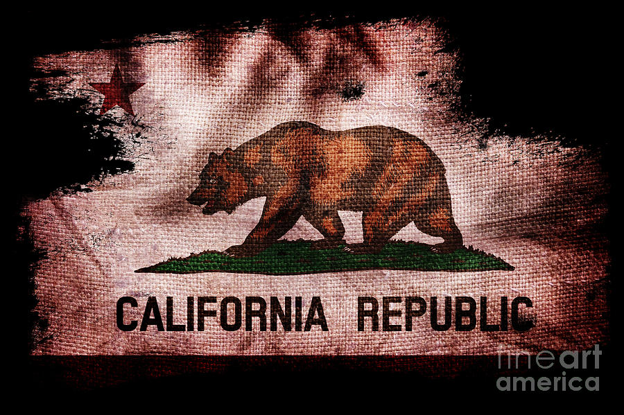 Distressed California Flag on Black Photograph by Jon Neidert