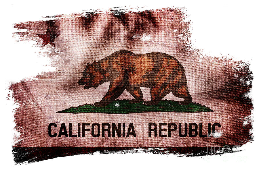 Distressed California Flag on White Photograph by Jon Neidert
