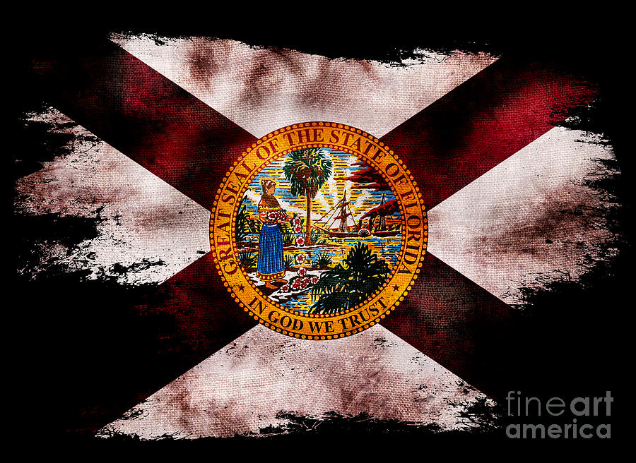 Distressed Florida Flag on Black Photograph by Jon Neidert