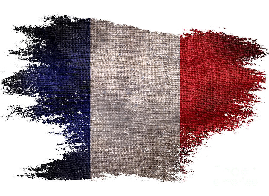 Distressed French Flag on White Photograph by Jon Neidert
