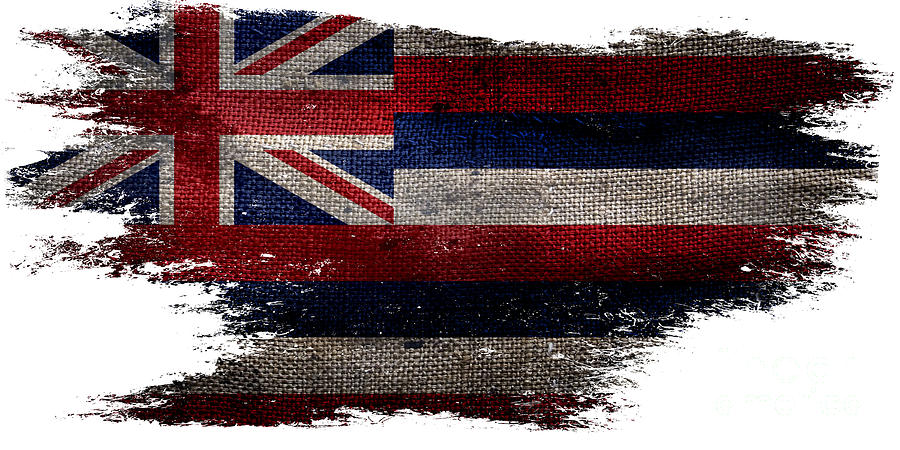 Distressed Hawaii Flag Photograph by Jon Neidert