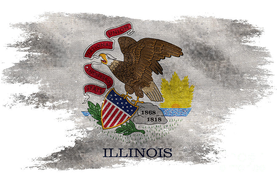 Distressed Illinois Flag Photograph by Jon Neidert