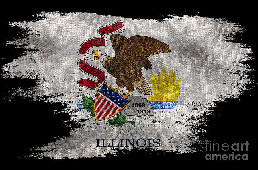 Distressed Illinois Flag on Black Photograph by Jon Neidert